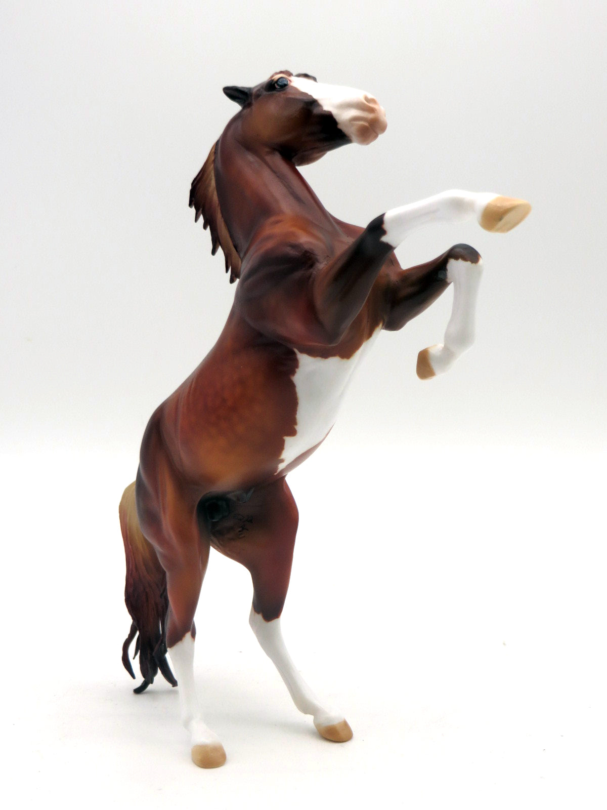 EQ Free Basket - Ashva of the Morning Sun