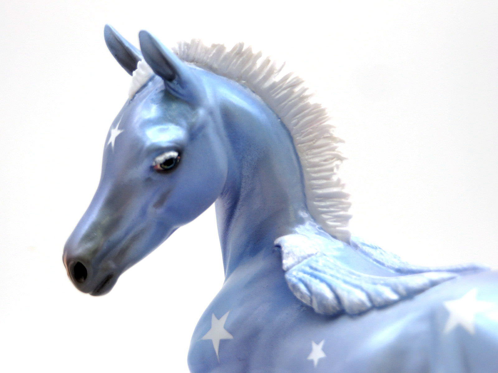 EQ Basket #1 - Born with the Stars EQ 22