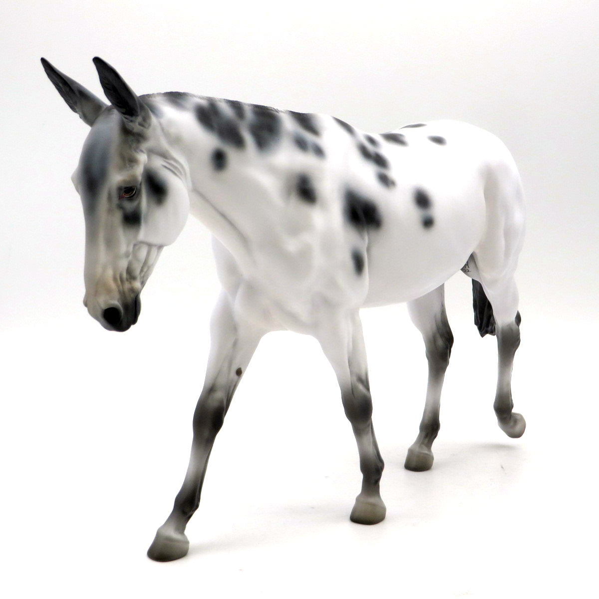 Zierdra-OOAK Appaloosa Mule Painted by Jess  EQ 22