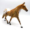 Adonis Custom Palomino Appaloosa  Painted By Julie Keim