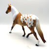 Adonis Custom Palomino Appaloosa  Painted By Julie Keim