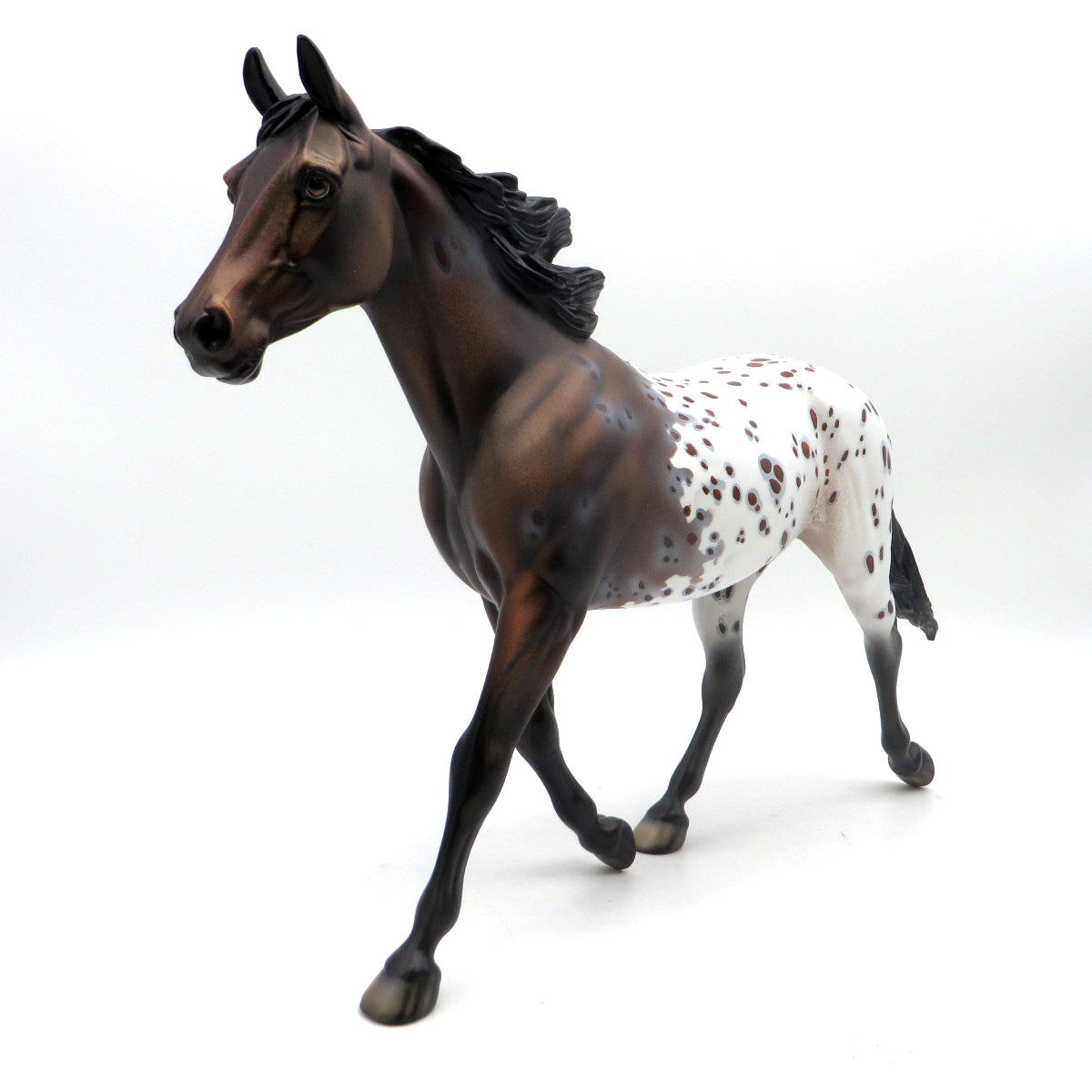 Applelonia OOAK Bay Appaloosa Palouse EQ 22