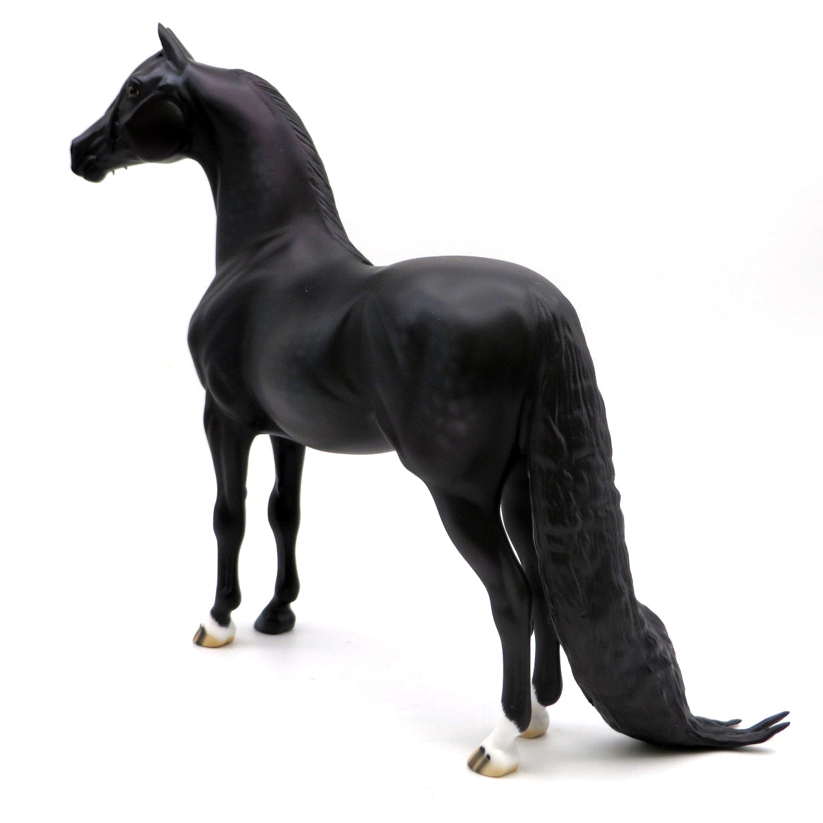 Anubis-OOAK Dapple Black Morgan EQ 22