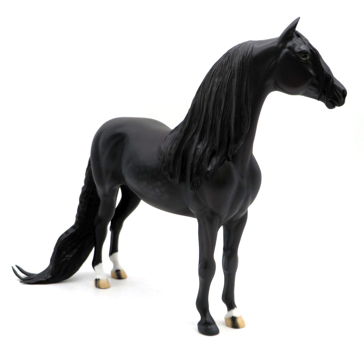 Anubis-OOAK Dapple Black Morgan EQ 22