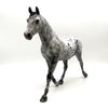 Selena-OOAK Loud Appaloosa Palouse   EQ 22