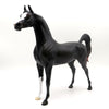 Charon-OOAK Dapple Bay Arabian EQ 22