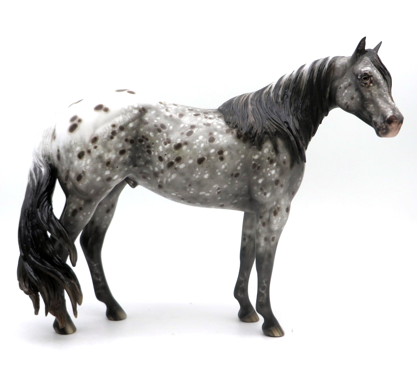 Sledgehammer-OOAK Loud Appaloosa ISH Painted by Sheryl Leisure 7/1/22
