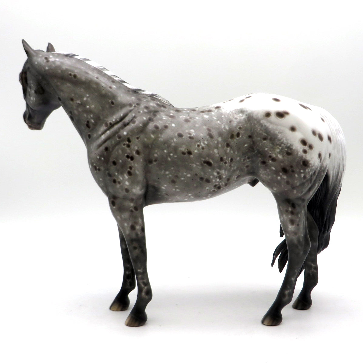Sledgehammer-OOAK Loud Appaloosa ISH Painted by Sheryl Leisure 7/1/22