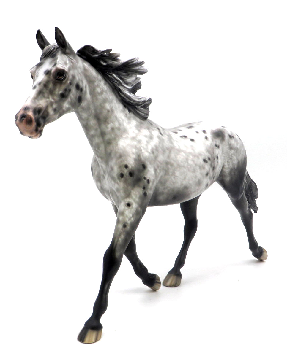 Steam-OOAK Loud Appaloosa Palouse Painted by Sheryl Leisure 7/1/22