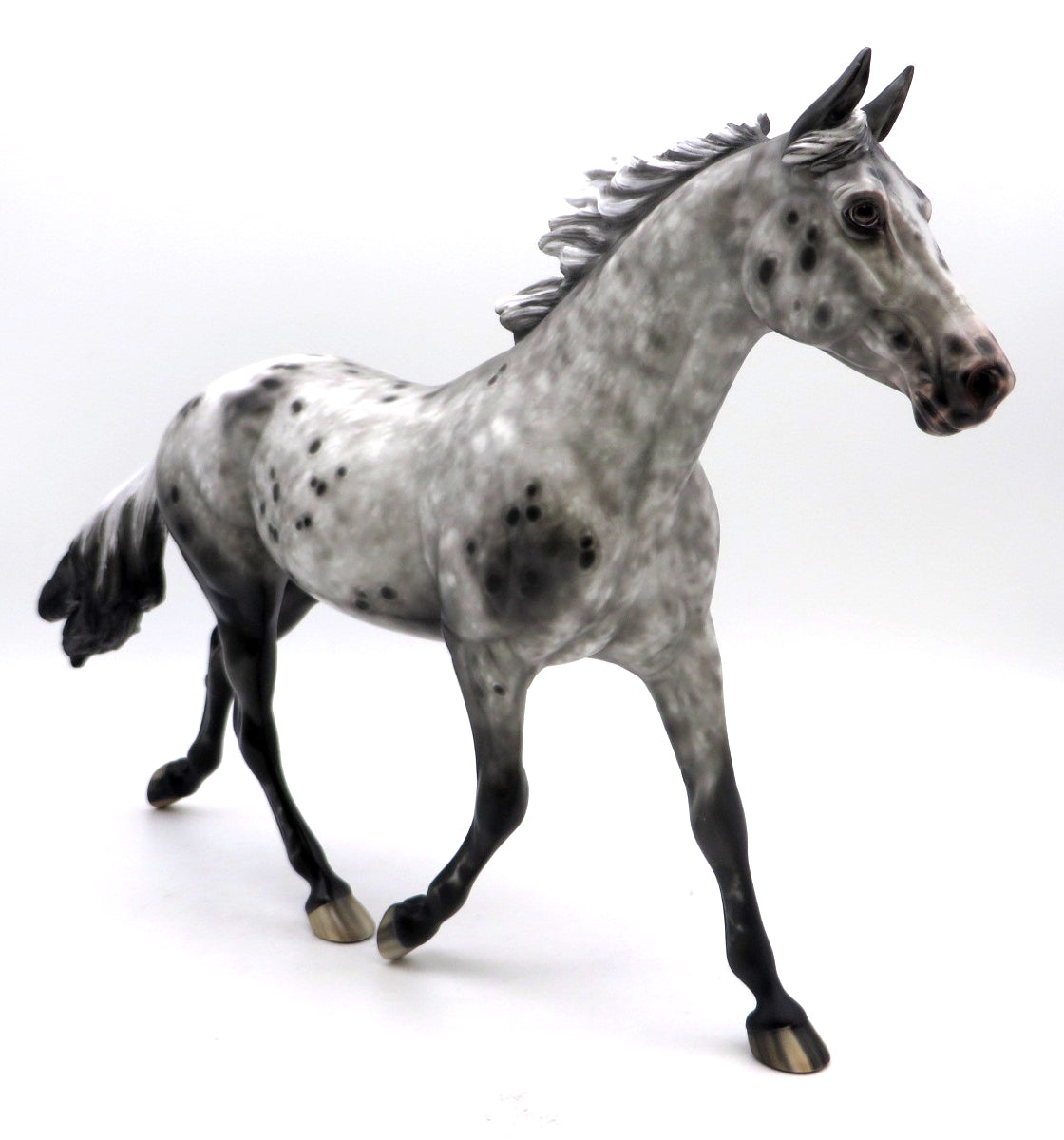 Steam-OOAK Loud Appaloosa Palouse Painted by Sheryl Leisure 7/1/22