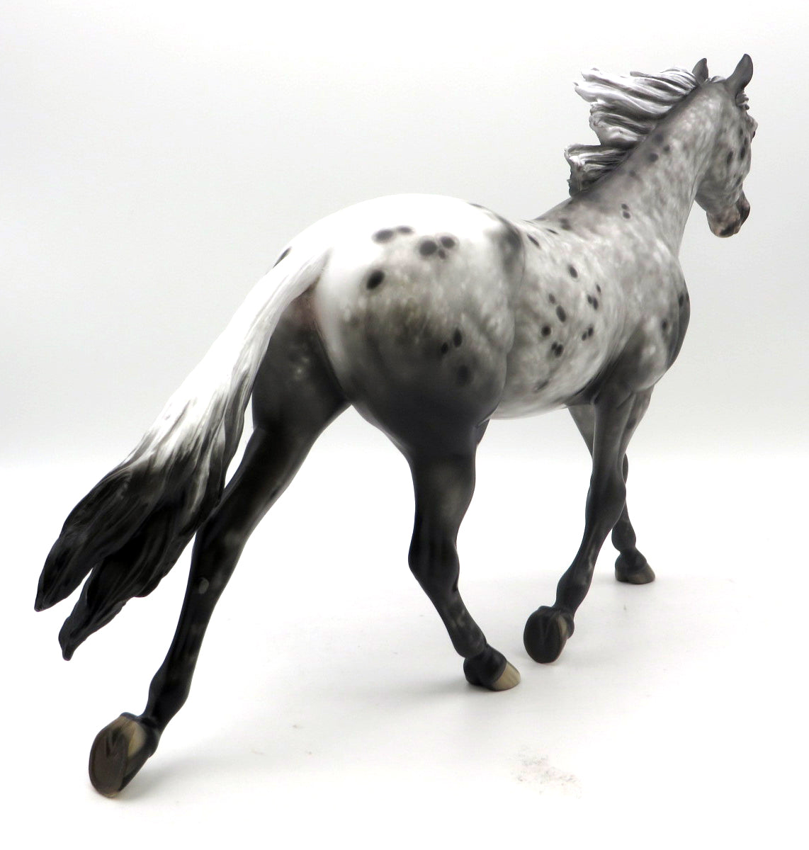 Steam-OOAK Loud Appaloosa Palouse Painted by Sheryl Leisure 7/1/22