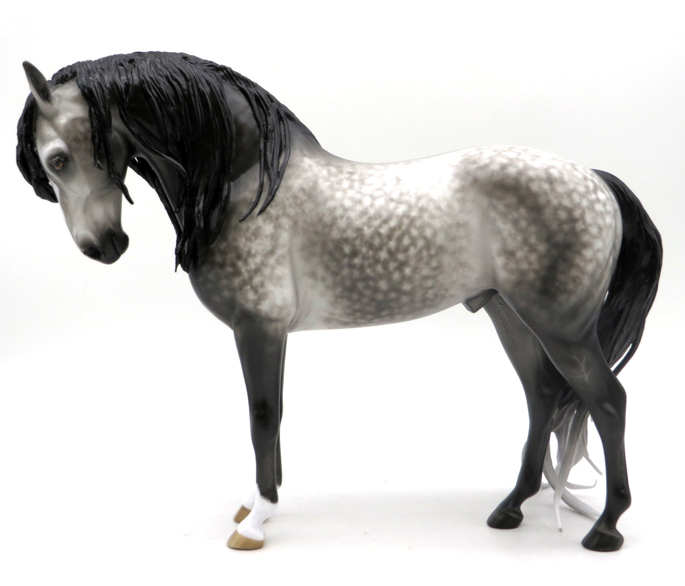 Balder-OOAK Dapple Grey Andalusian Painted by Sheryl Leisure   EQ 22