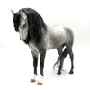 Balder-OOAK Dapple Grey Andalusian Painted by Sheryl Leisure   EQ 22