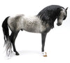 Balder-OOAK Dapple Grey Andalusian Painted by Sheryl Leisure   EQ 22