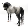 Balder-OOAK Dapple Grey Andalusian Painted by Sheryl Leisure   EQ 22