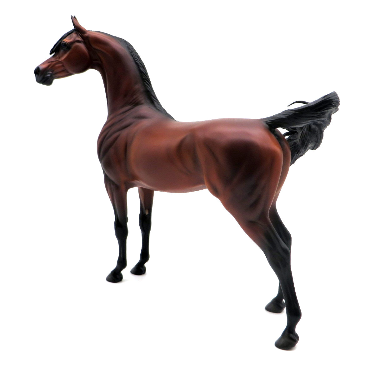 Minerva-OOAK Bay Arabian Painted by Caroline Boydston EQ 22