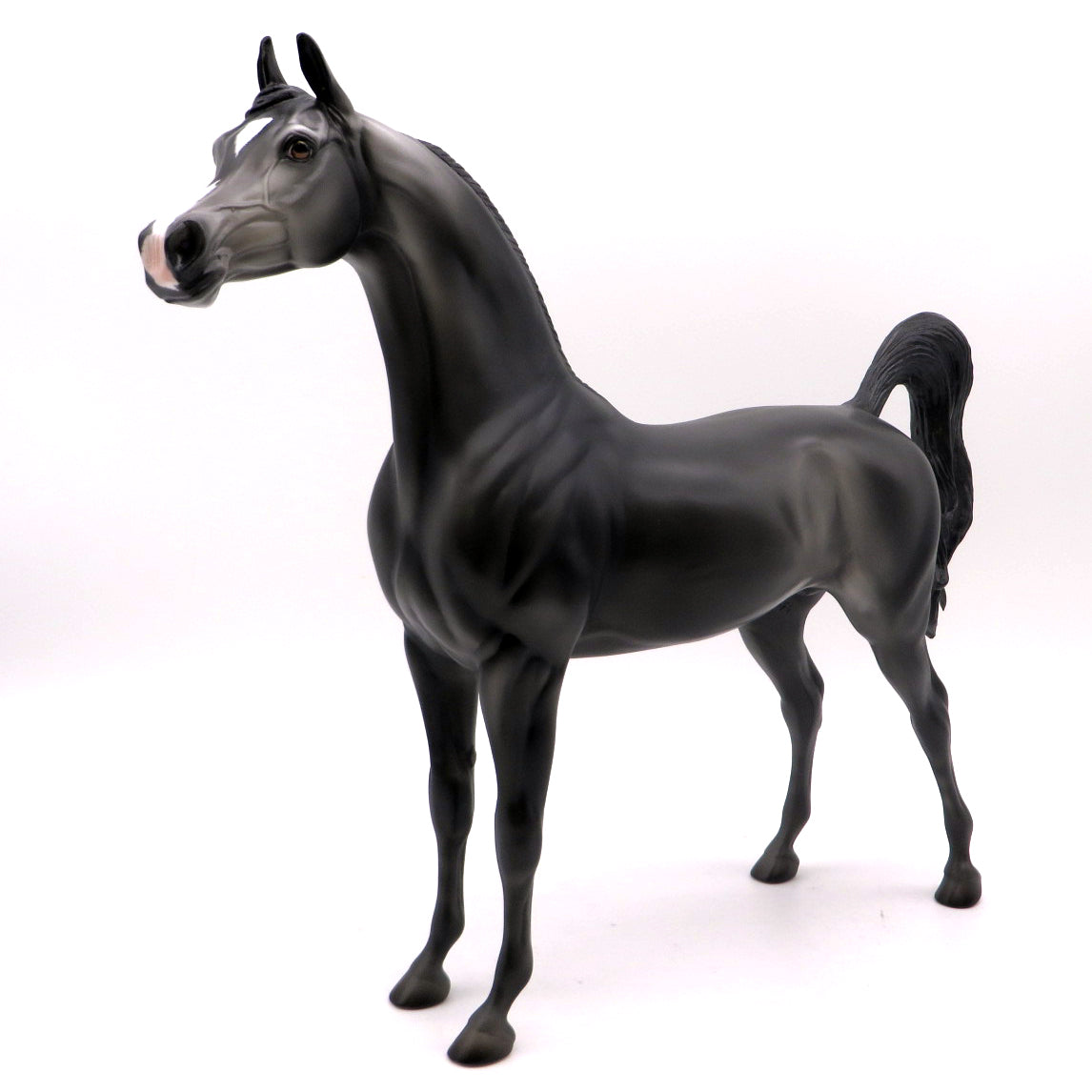 Spartan-OOAK Arabian EQ222
