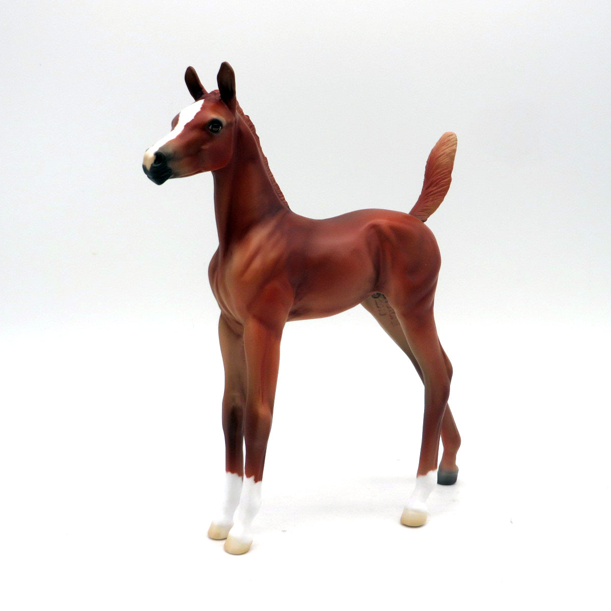 Equuleus-OOAK Chestnut Foal EQ 22