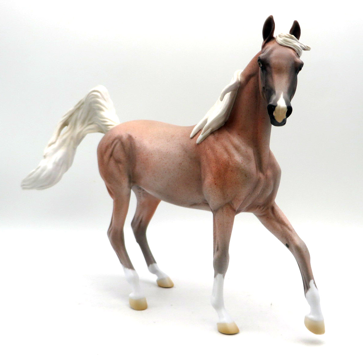 Columba-OOAK Fleabit Arabian Mare EQ 22