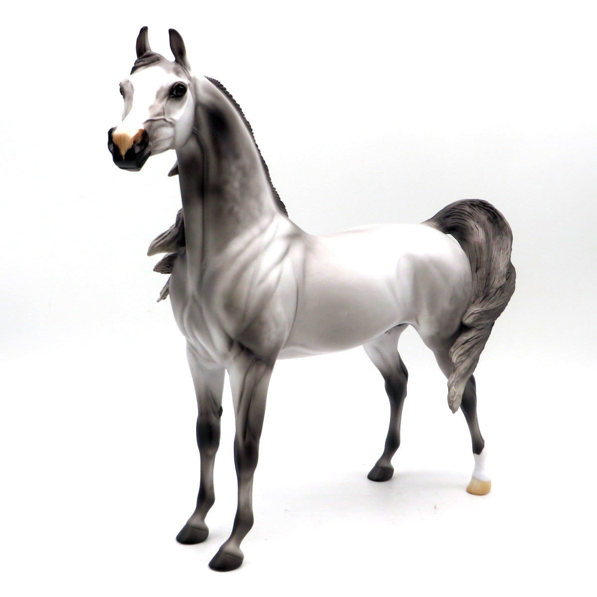 Monoceros-OOAK Dapple Grey Arabian EQ 22
