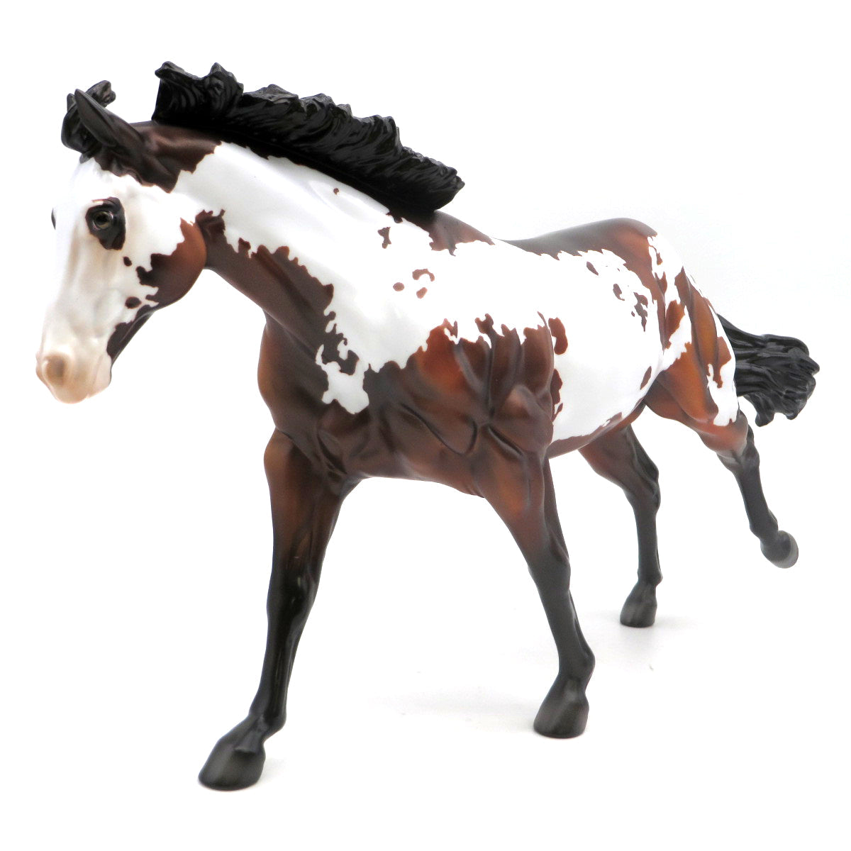 Zadock-OOAK Bay Pinto Running Stock Horse EQ 22