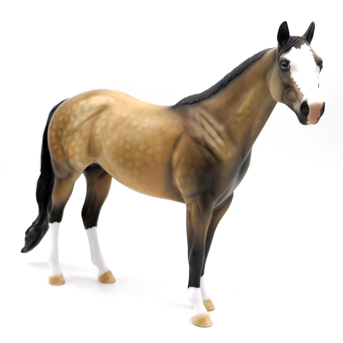 Archibald-OOAK Dapple Buckskins EQ 22