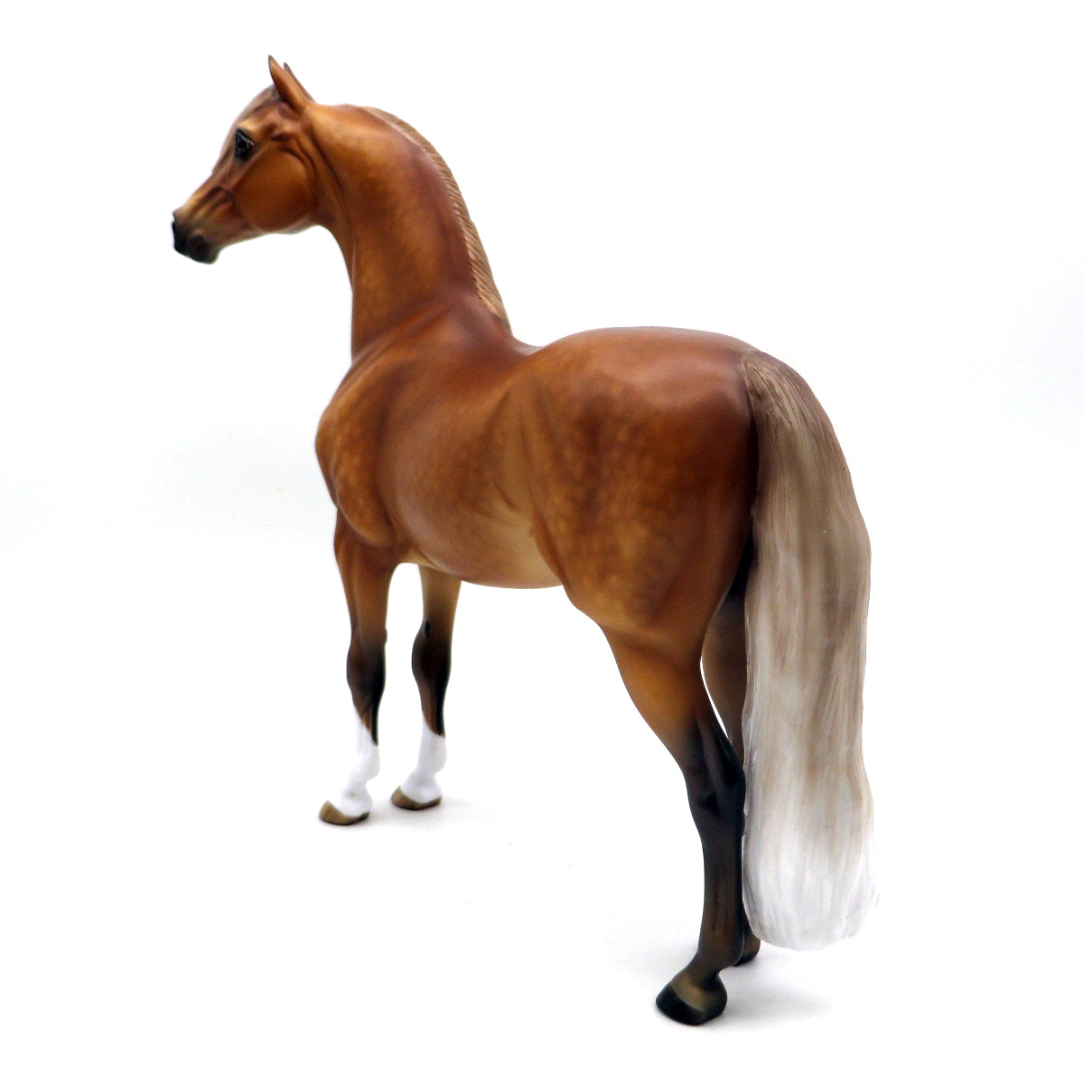 Lover Come Back-OOAK Dapple Silver Bay Morgan Painted by Sheryl Leisure 7/11/22