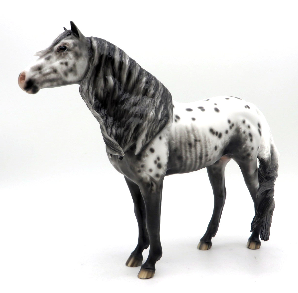 Midnight Lace-OOAK Appaloosa Mustang Painted by Sheryl Leisure 7/11/22