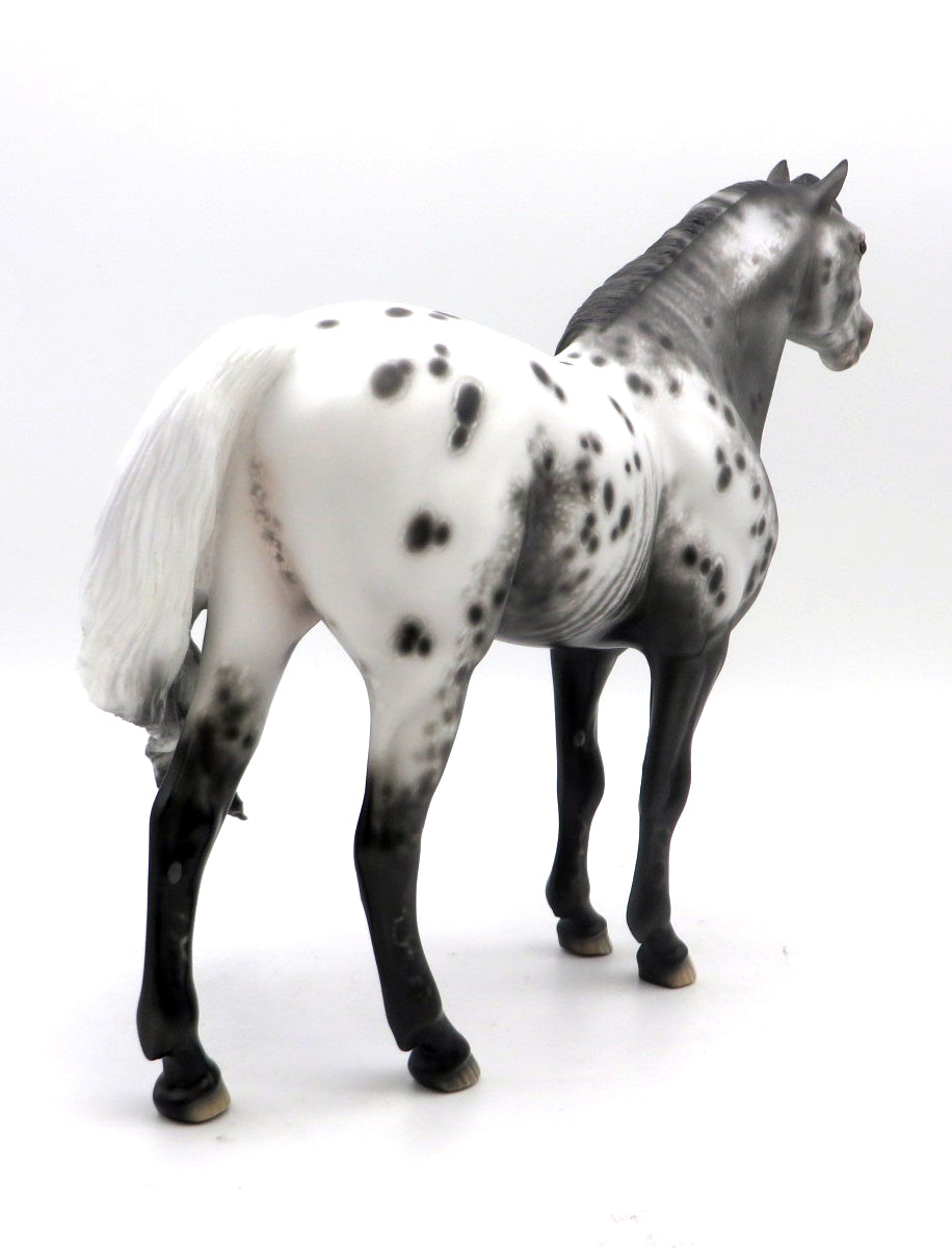 Midnight Lace-OOAK Appaloosa Mustang Painted by Sheryl Leisure 7/11/22