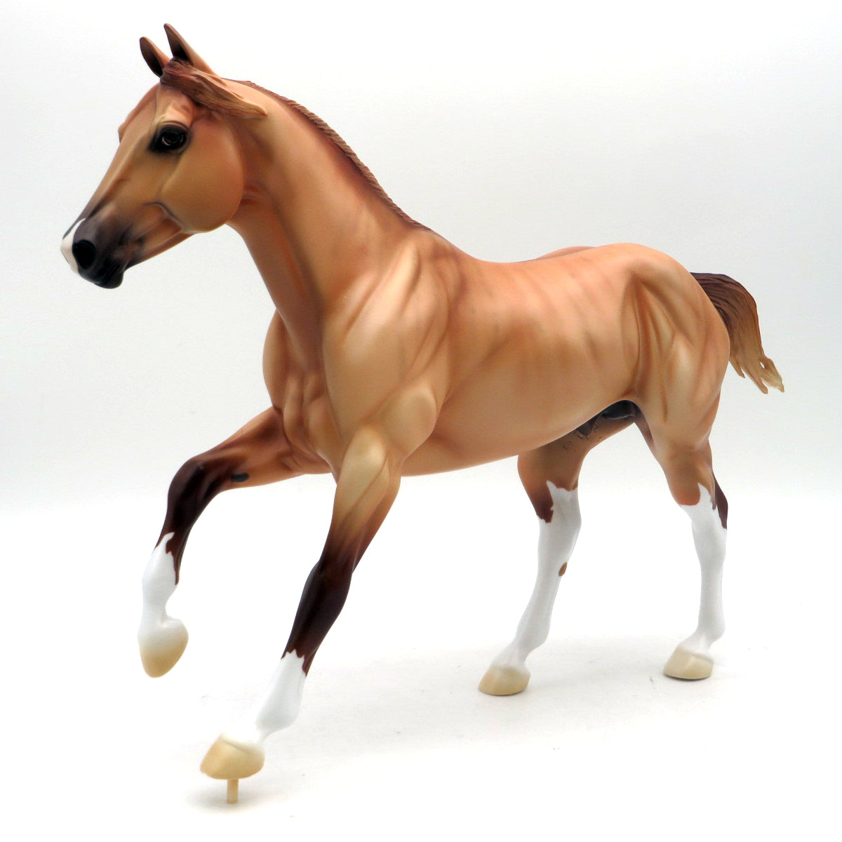 The Brindled Bandit-LE 30- FQH - AOTH 22 By Ellen Robbins