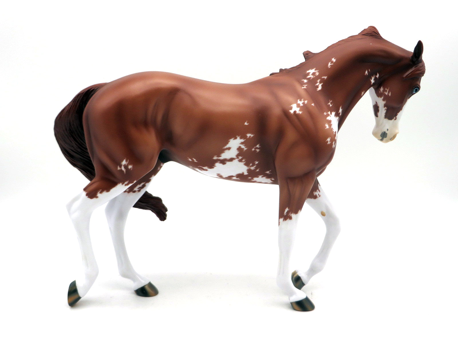 Sobek-OOAK Chestnut Pinto Thoroughbred EQ 22
