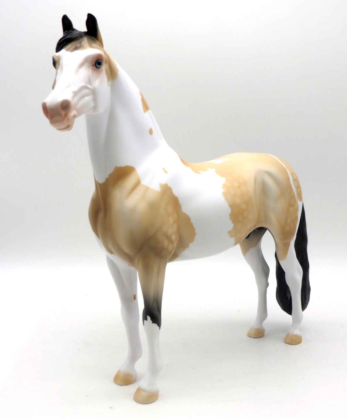 Rayth - LE 6 - EQ 22