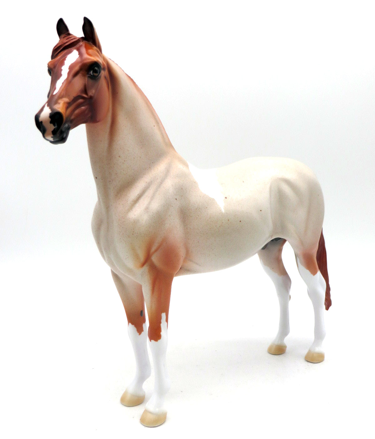 Warde - LE 3 - EQ 22