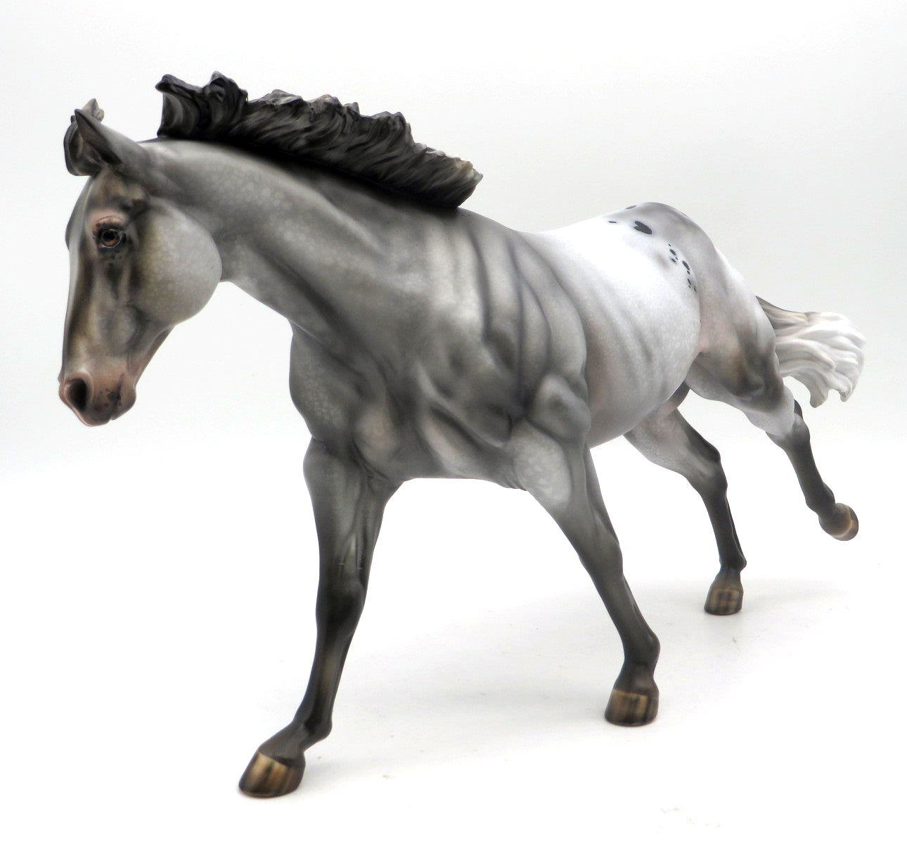 Panax - OOAK - EQ 22