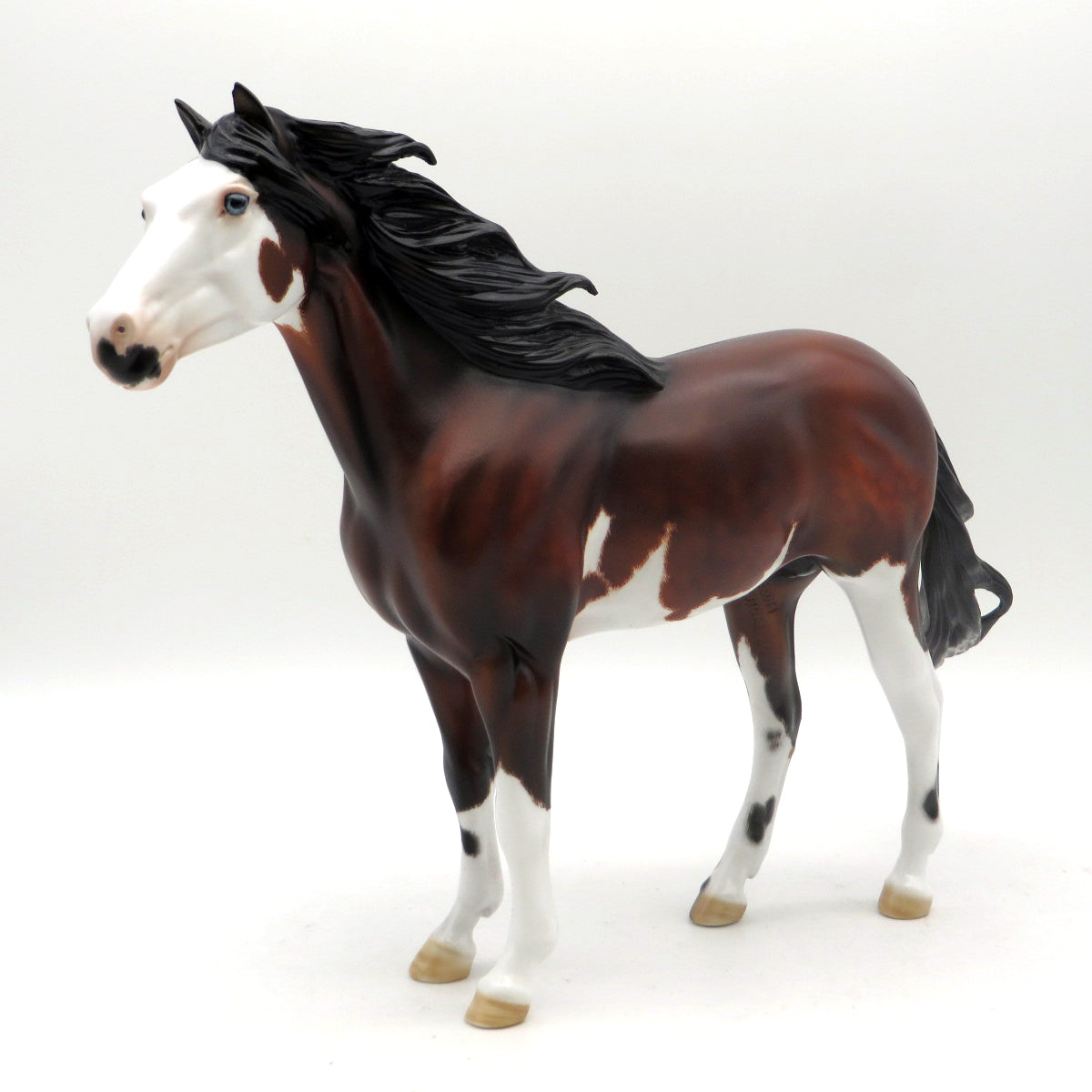 Valesco - OOAK - EQ 22