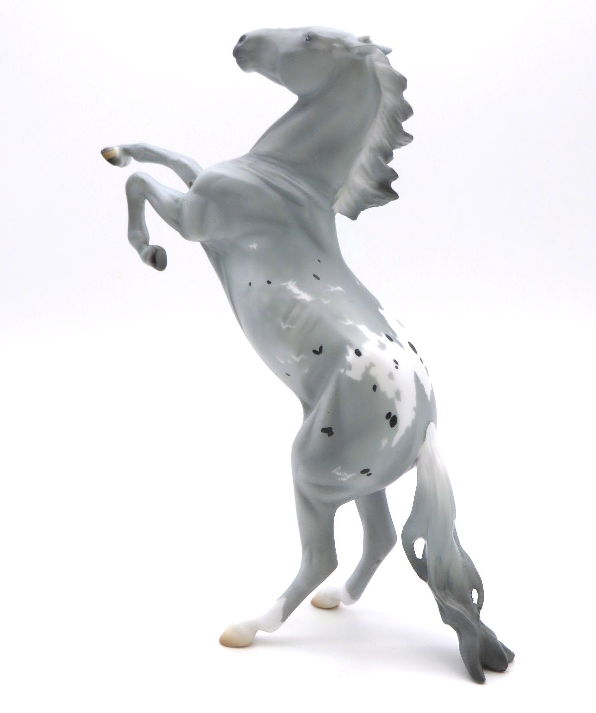 Thyella-LE-20 Rearing Pebbles  AOTH 22