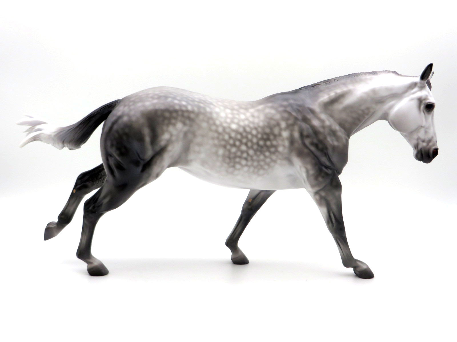 Oxford-OOAK Dapple Grey Running Stock Painted by Caroline Boydston 8/8/22