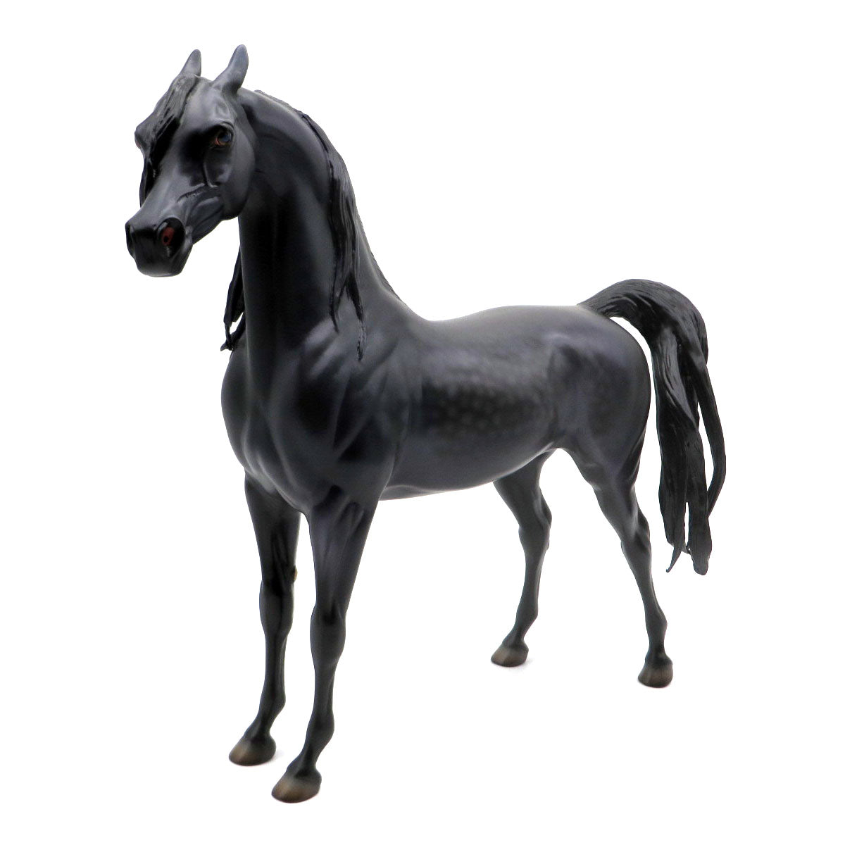 Kingston-OOAK Dapple Bay Arabian Painted by Caroline Boydston 8/8/22