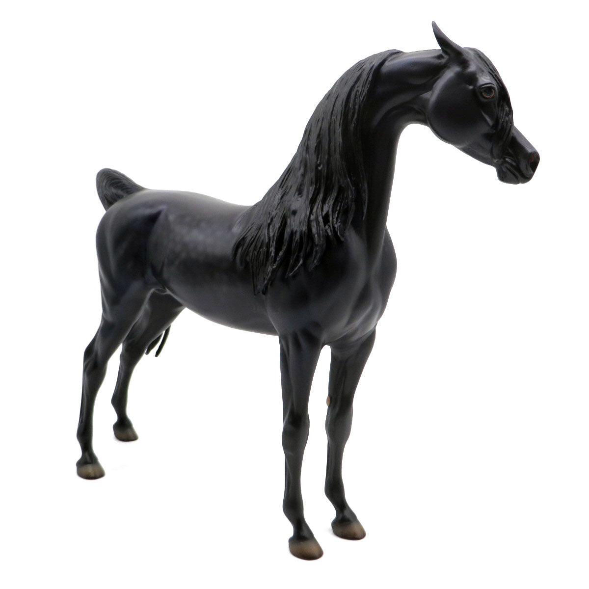 Kingston-OOAK Dapple Bay Arabian Painted by Caroline Boydston 8/8/22