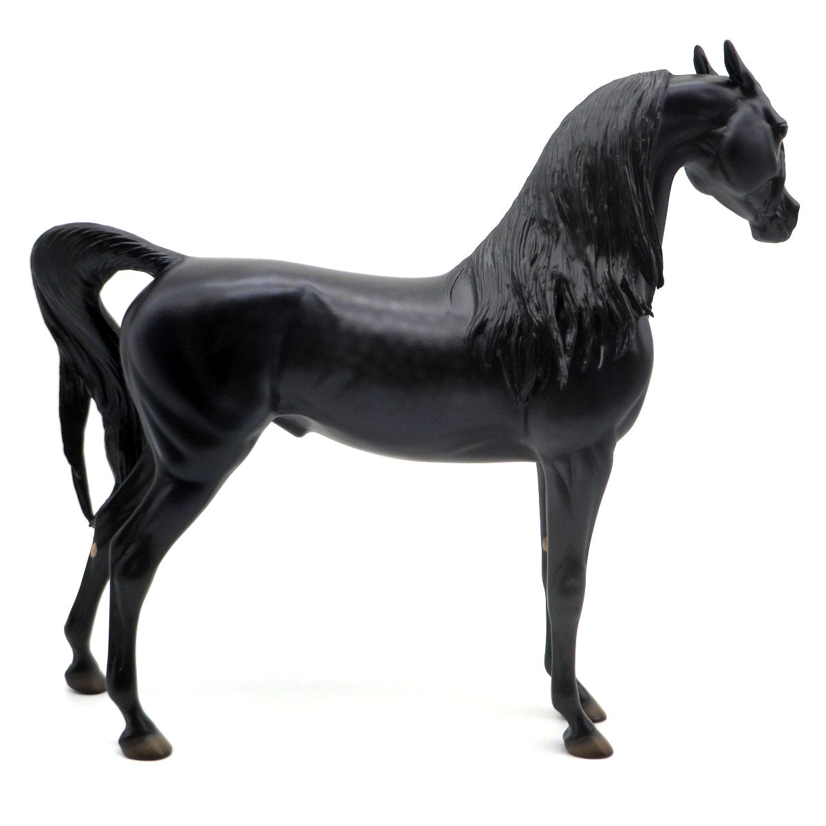 Kingston-OOAK Dapple Bay Arabian Painted by Caroline Boydston 8/8/22