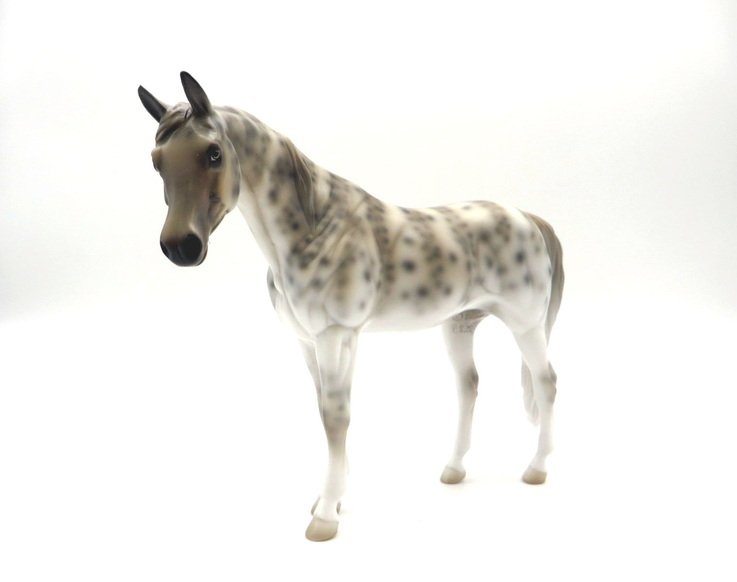 Zee-OOAK Deco Zebra Shark Arabian Pebbles Shark Week 22