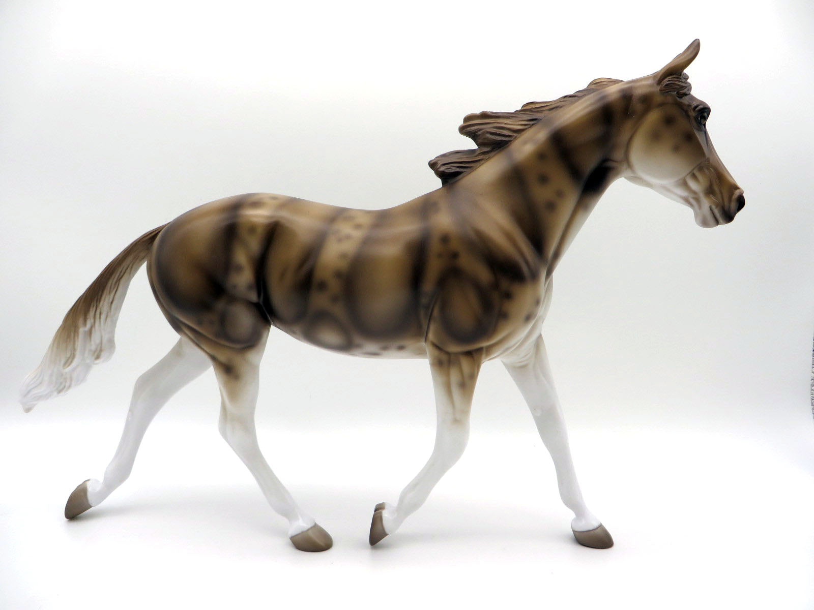 Loan Shark-OOAK Deco Palouse Shark Week 22