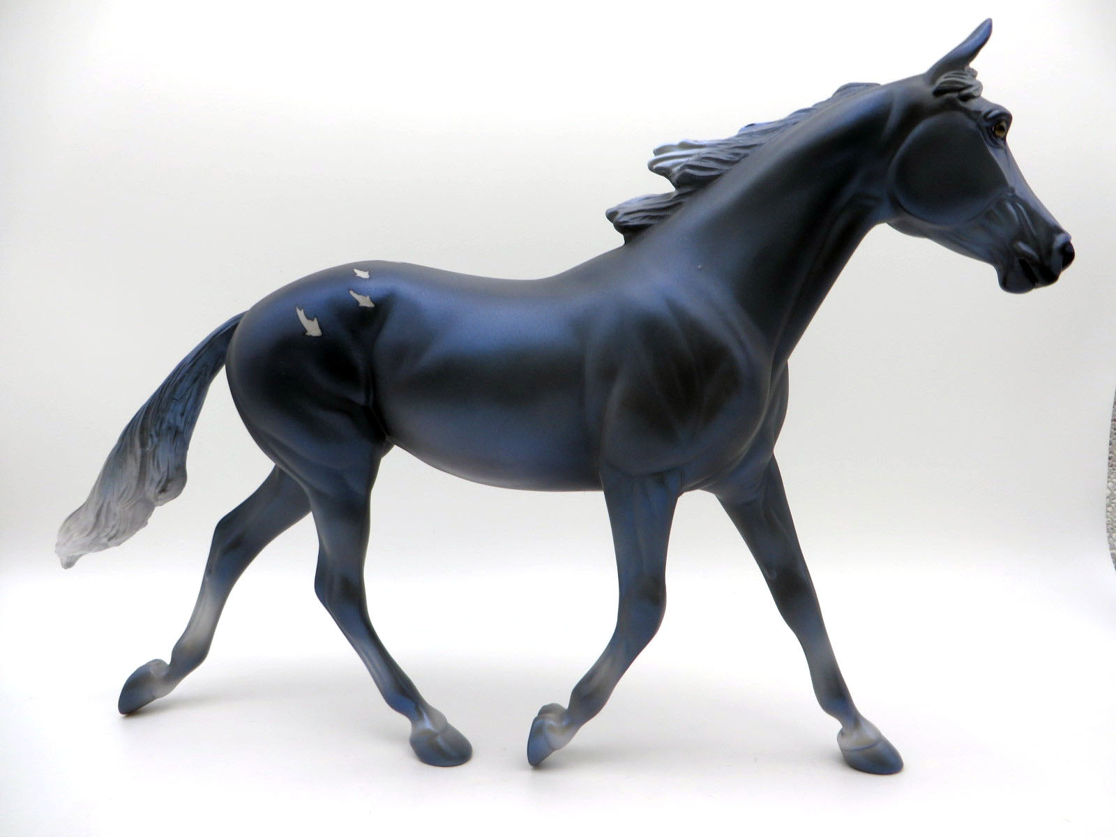 Shark Tank-OOAK Palouse  Shark Week 22