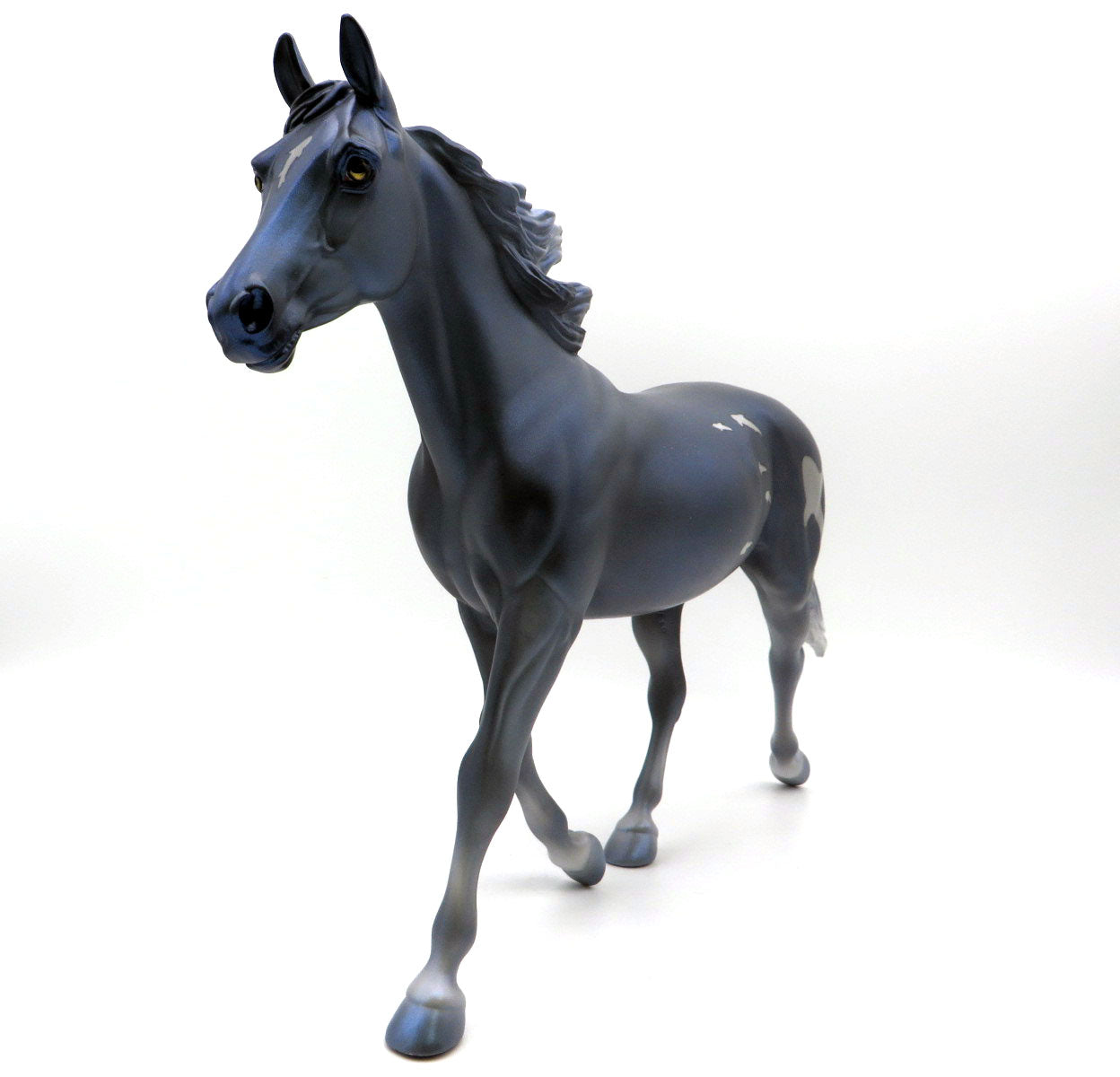 Shark Tank-OOAK Palouse  Shark Week 22