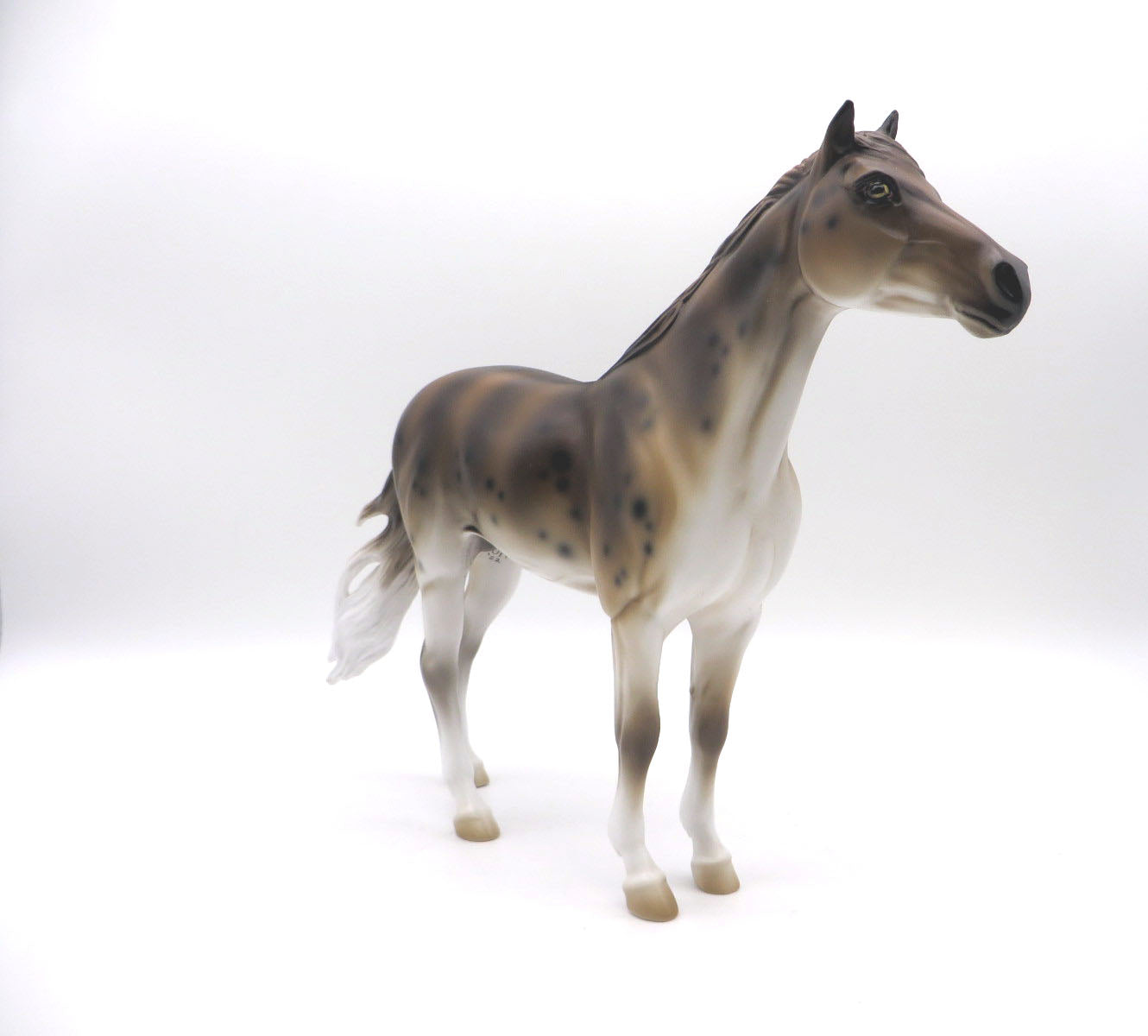 Hound Shark-OOAK Deco Mustang Shark Week 22