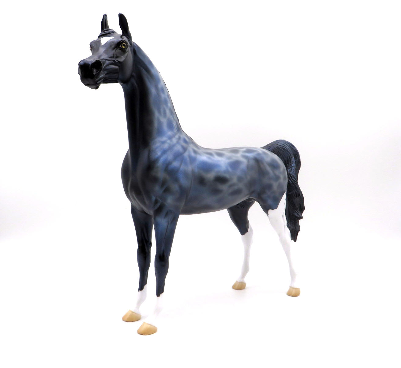 Shark Tooth-OOAK Deco Arabian   Shark Week 22