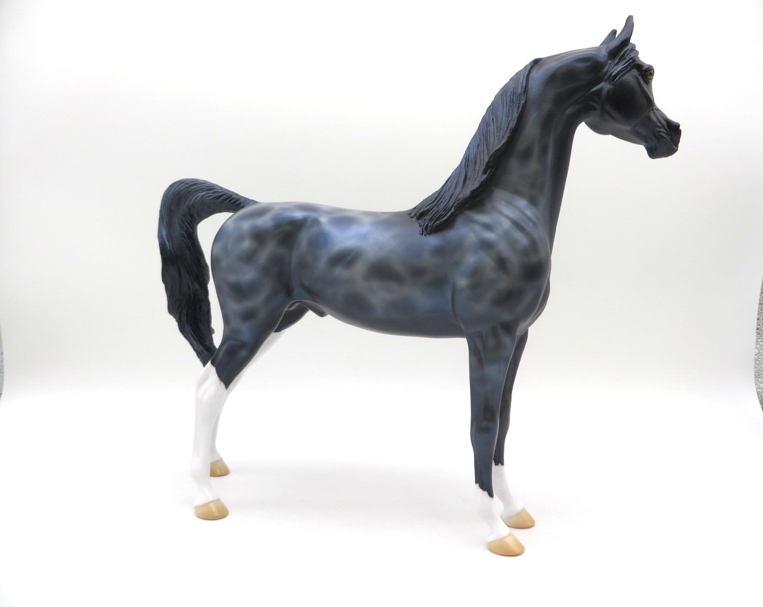 Shark Tooth-OOAK Deco Arabian   Shark Week 22