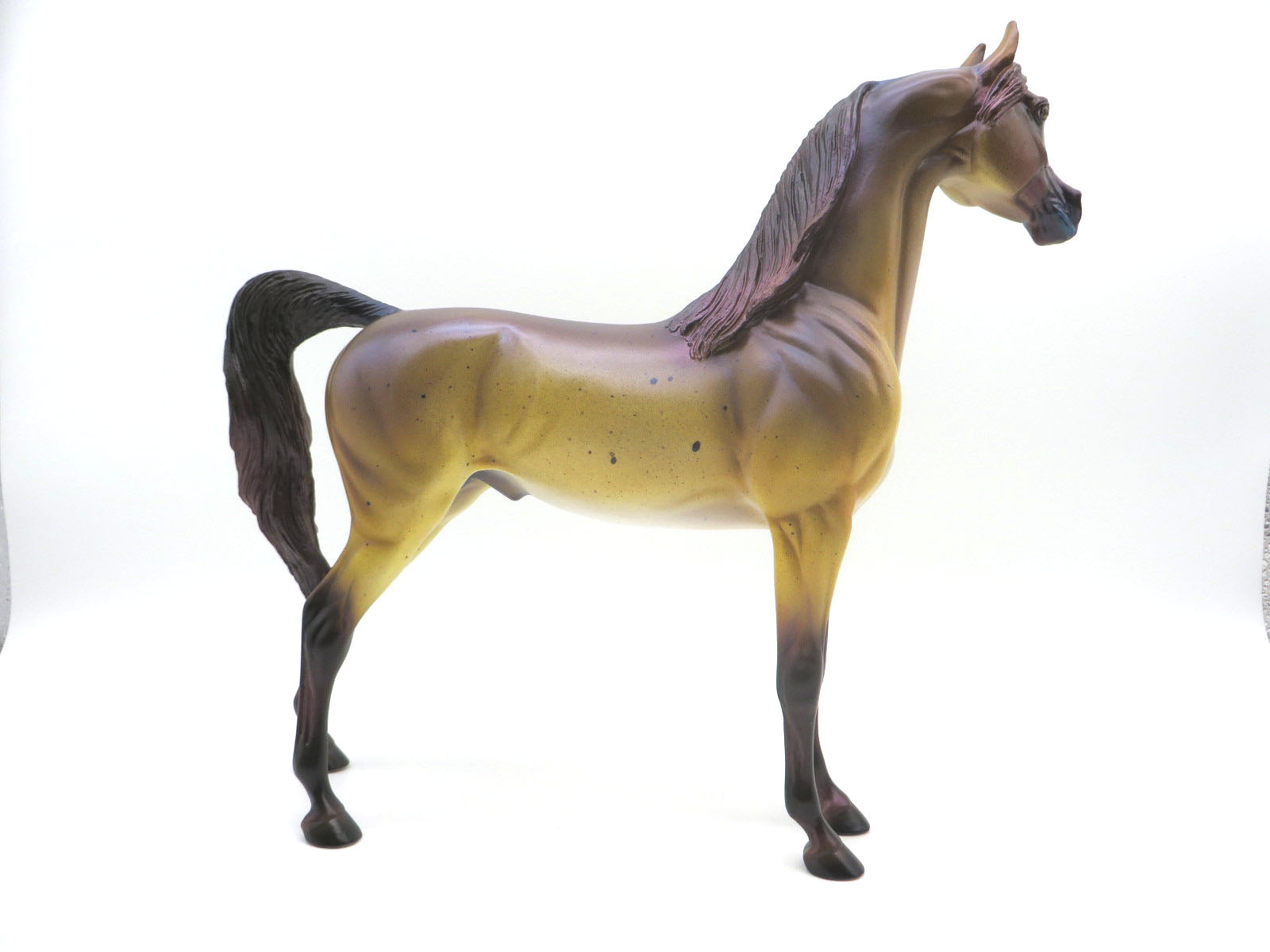 Murray-OOAK Deco Arabian Moray Eel  Shark Week 22