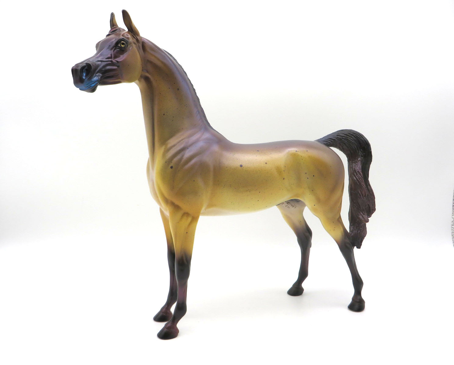 Murray-OOAK Deco Arabian Moray Eel  Shark Week 22