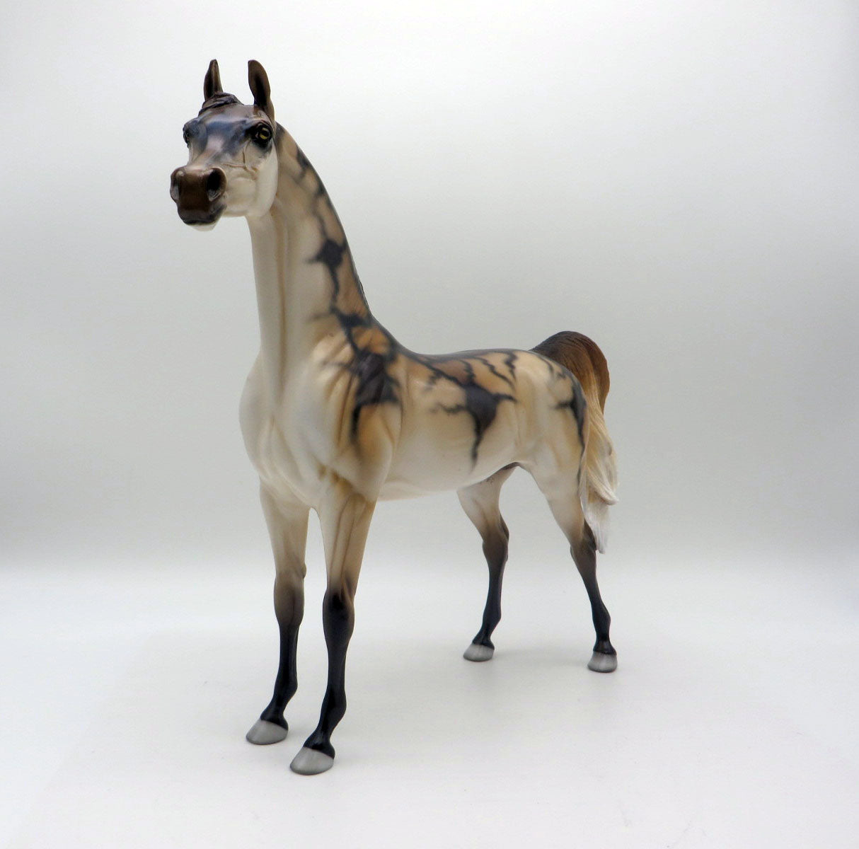 Meow-OOAK Deco Arabian Cat Shark  Shark Week 22